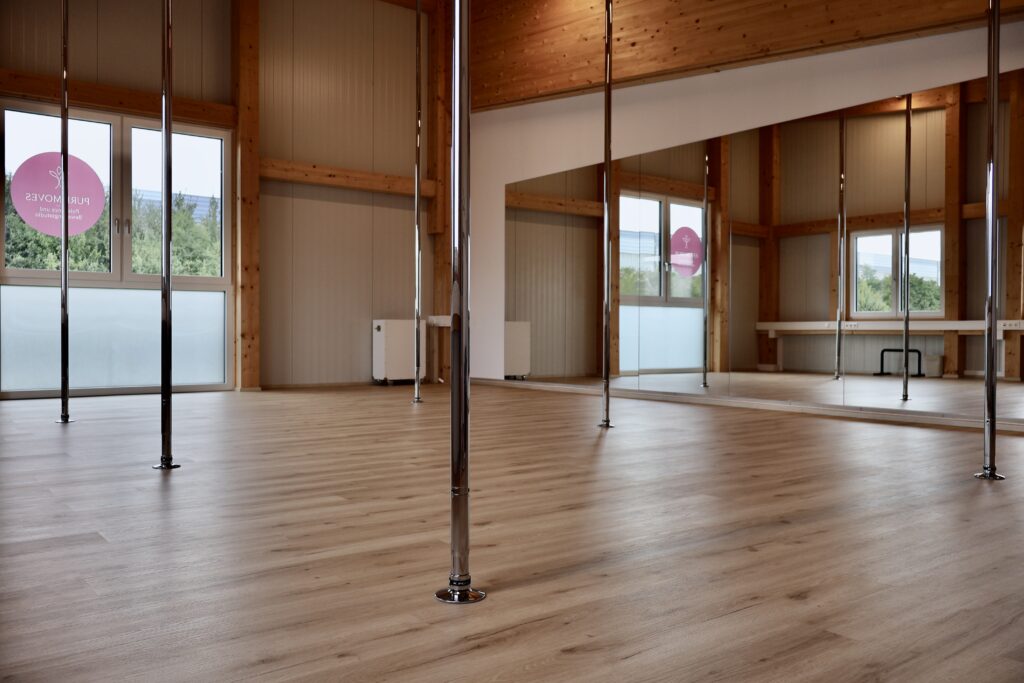Pole Dance für Anfängerinnen in St. Pölten im hellen Pure Moves Studio